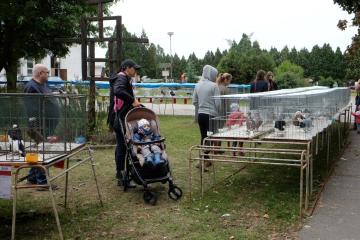 Malokarpatská oblastná výstava obr.3 Malokarpatská oblastná výstava obr.3
